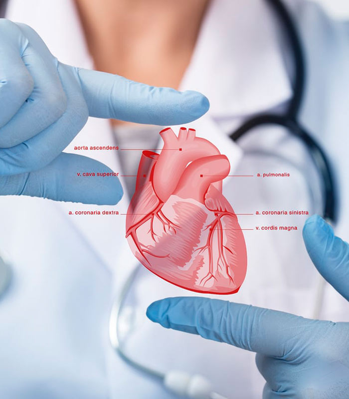 Cardiologie - Medcare Family Center Târgoviște